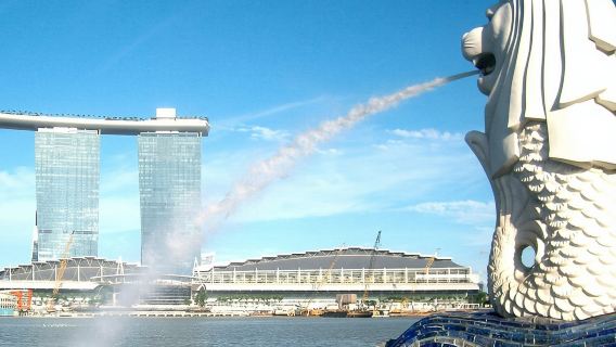 City Tour+Gardens by the Bay(FlowerDome&JurassicWorld) Transfers