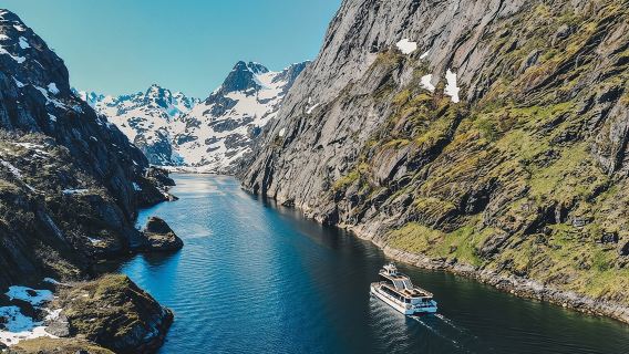 Lofoten Island: Silent Trollfjord Cruise from Svolvær