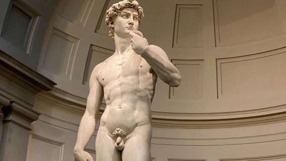 Skip The Line David Guided Tour Experience