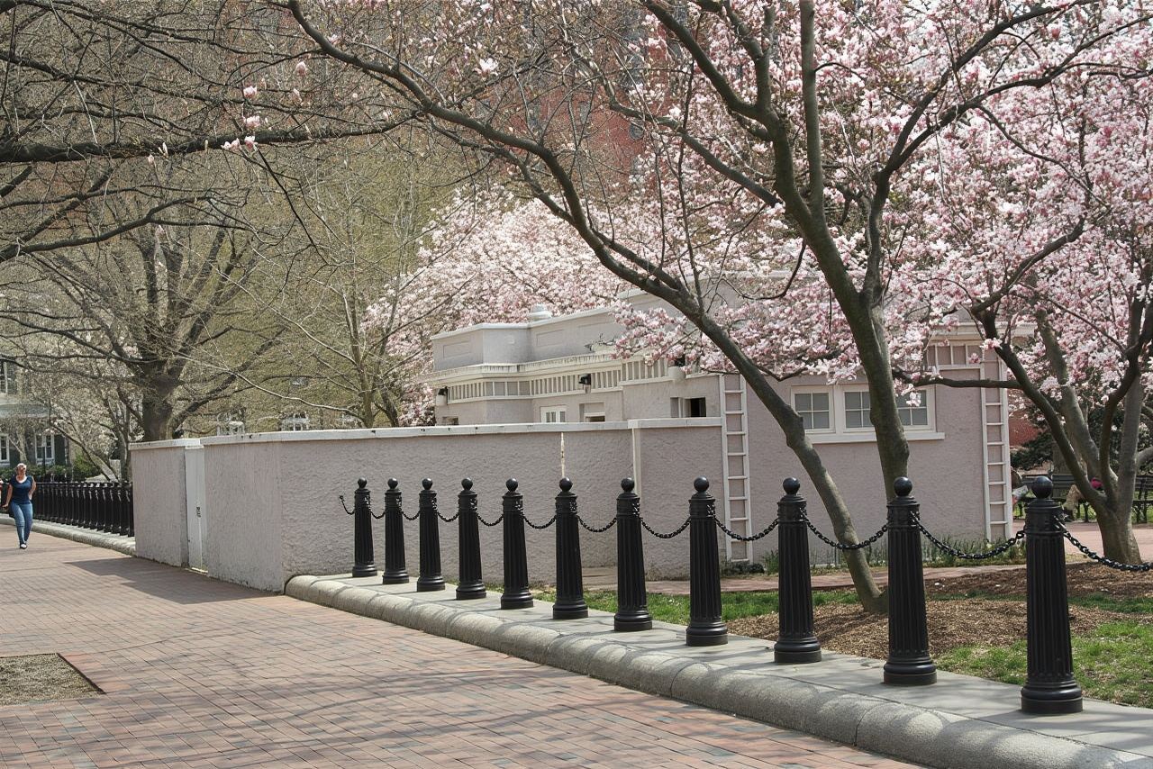 美國華盛頓美國國家植物園+美國白宮+潮汐湖+美國國會大廈一日遊