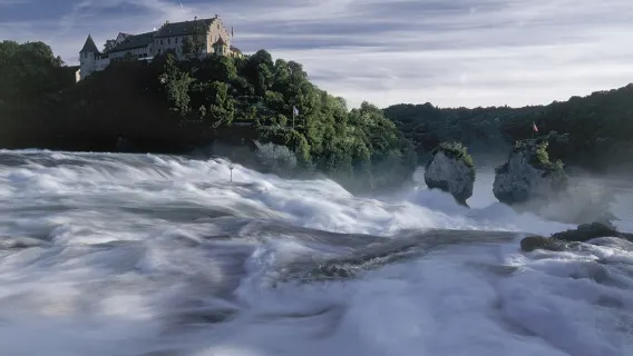 Passeio de meio dia para as Cataratas do Reno + Castelo de Laufen na Suíça | Opção de incluir a cidade encantadora de Stein