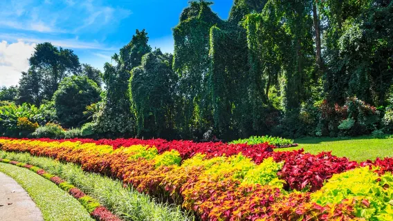 Zurich Zoo + Zurich Cathedral + Bahnhofstrasse + Kunsthaus Zurich