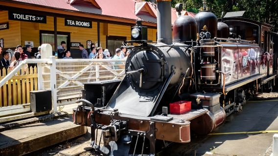 墨爾本火車企鵝一日遊【中文司導+多團型任選+市區多站點接送】
