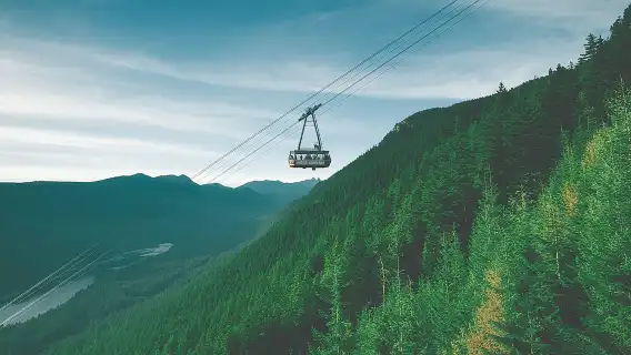 Grouse Mountain & Capilano Bridge Tour with Fish Hatchery