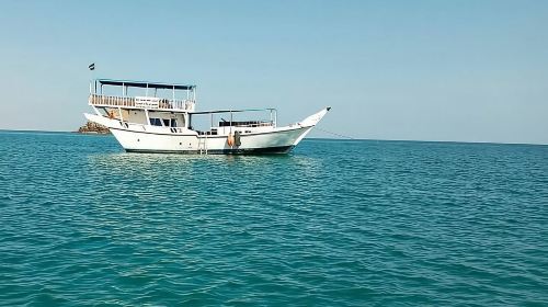 Full Day Musandam Cruise with Lunch and Snorkelling from Dubai Day Tours 6