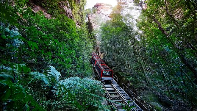 Blue Mountains Small-Group Tour from Sydney with Scenic World,Sydney Zoo & Ferry