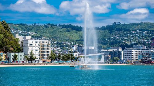 Half Day Tour of Wellington Day Tours