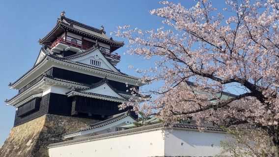 日本名古屋港水族館-久屋大通公園可定制【中文專車 舒適純淨】