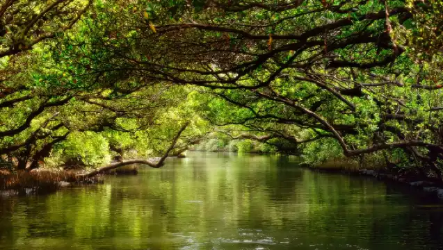 穿越古都時光隧道．府城拾光～台南一日深度遊