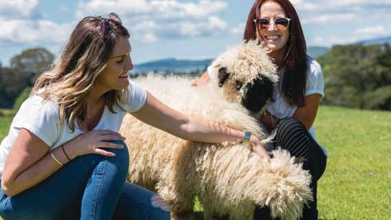 Family-friendly experience at Rotorua Agrodome: Sheep Show + Farm Tour
