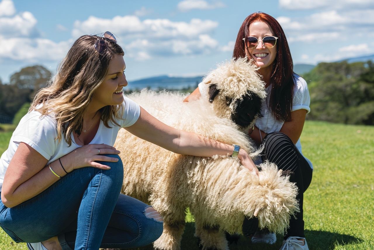 Family-friendly experience at Rotorua Agrodome: Sheep Show + Farm Tour
