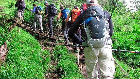 Experiência de Caminhada de Um Dia no Kilimanjaro a partir de Arusha – Rota Marangu