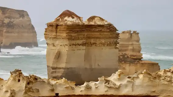 Great Ocean Road Tour Premium Coach In A Relaxed Way 