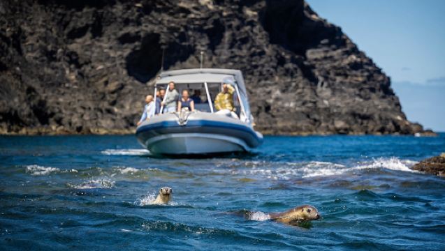 Lawatan sehari Semenanjung Fleurieu di Adelaide, Australia