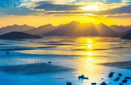 霞浦北岐日出+東壁落日+楊家溪榕楓公園+花竹村一日遊|8人團