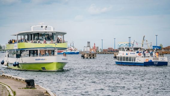 Wismar: Elektroboot-Tour vorbei an der Whale Island mit Halt auf der Insel Poel