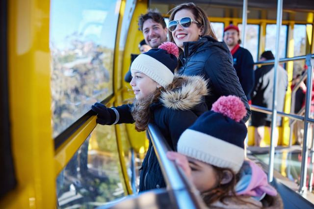 From Sydney: Blue Mountains, Scenic World, Zoo, & Ferry Ride