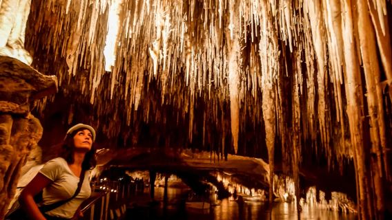Alcudia: Caves of Drach Tour from the North with Boat Trip