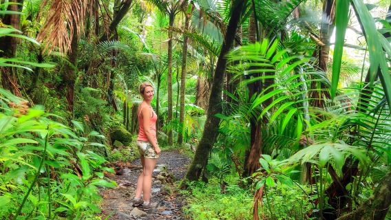 San Cristóbal: Senderismo y excursión turística al volcán