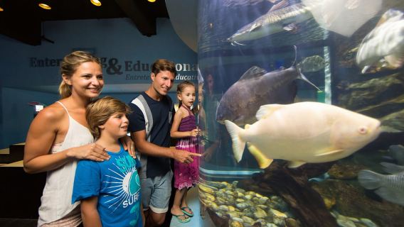 Cancún: Interactive Aquarium Admission