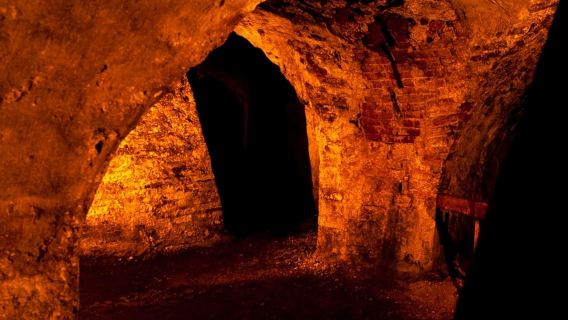 Vé vào cửa Lâu đài Kronborg