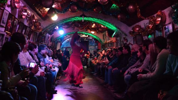 Granada: Pertunjukan Flamenco Gua Sacromonte