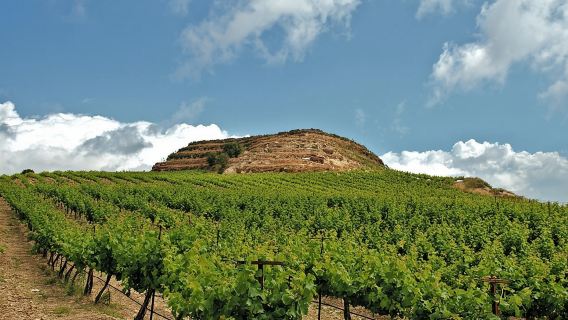 Crete Wine and Olive Oil Tour