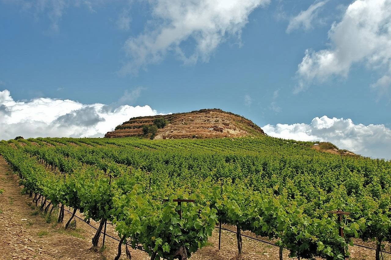 ทัวร์ไวน์และน้ำมันมะกอกบนเกาะครีต