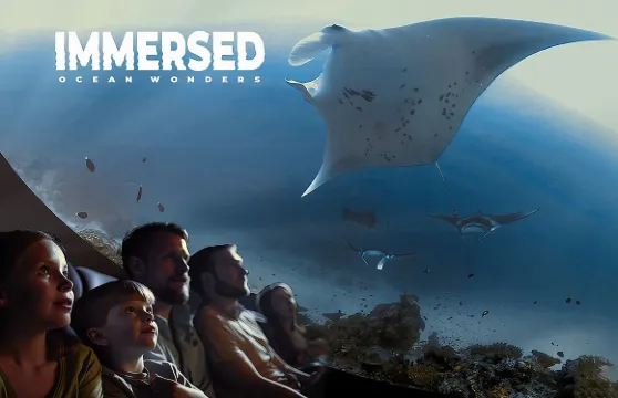 海洋奇觀：沉浸式海洋電影體驗