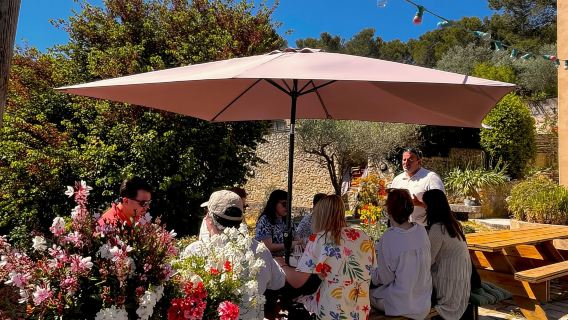 Aix-en-Provence: Half Day Wine Tour in Coteaux d'Aix