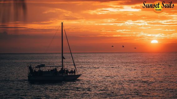 Sunset Sails Tours Afternoon (2pm) or Morning tours (9am).