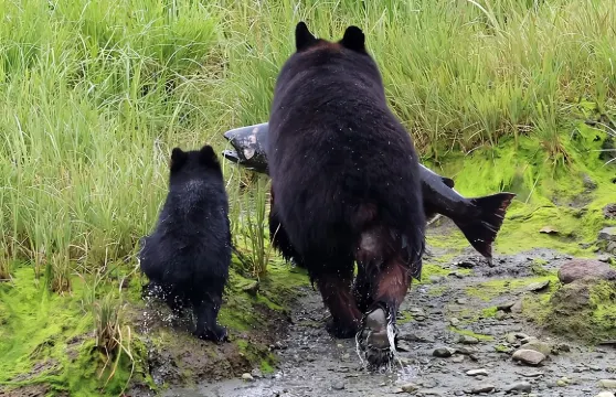 3小時私人自訂凱奇坎遊覽（最多14人）