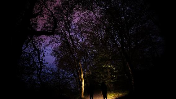Tour notturno nella foresta di Hoia Baciu