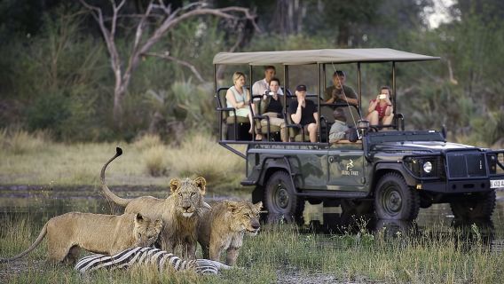 Chobe Extended Day Trip from Victoria Falls - Zimbabwe