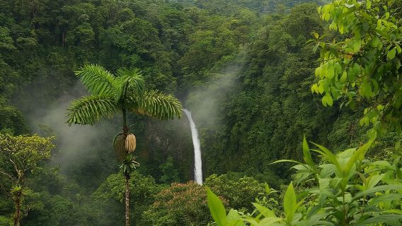 Escursione guidata alla cascata di La Fortuna, pranzo incluso alla fattoria La Finquita