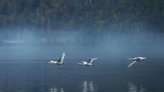 Zurich + Lake Lucerne + Zug day tour [Itinerary adjustment|Zug Castle