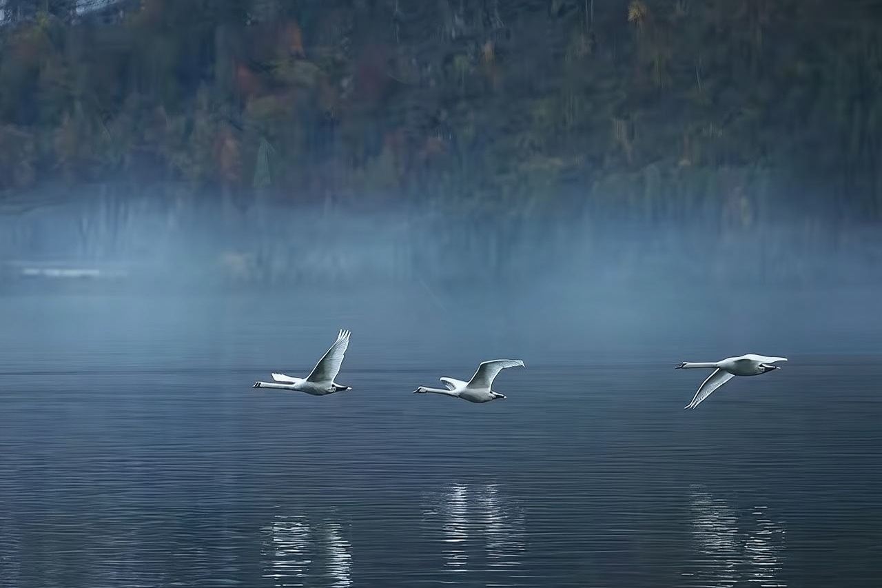 チューリッヒ+ルツェルン湖+ツーク ワンデーツアー【行程調整|ツーク城】