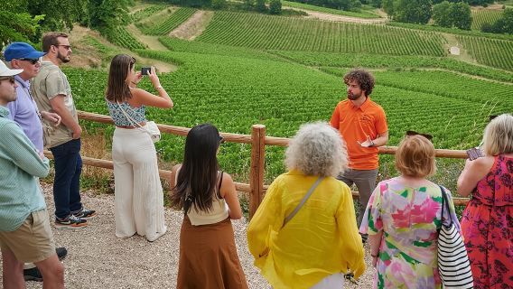 Saint-Emilion Grand Cru Geclassificeerd: Bezoek & Proeverij in het Frans