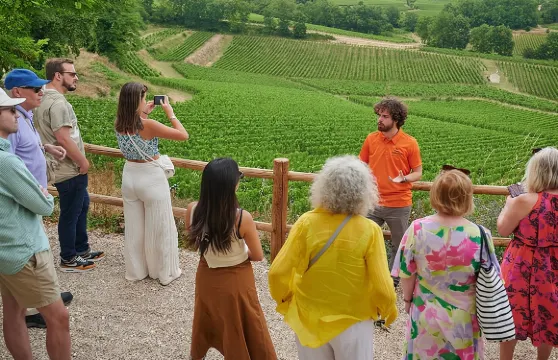 聖埃米利永特級莊園：法式參觀與品酒體驗