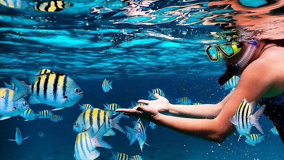 Family Fun-Snorkeling with Lunch Stop from Montego Bay