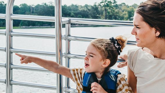 90-Minute Dolphin and Nature Tour of Hilton Head