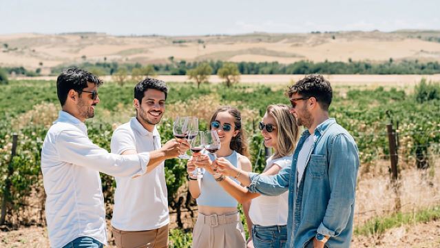 Tour of Toledo with wine tasting from Madrid