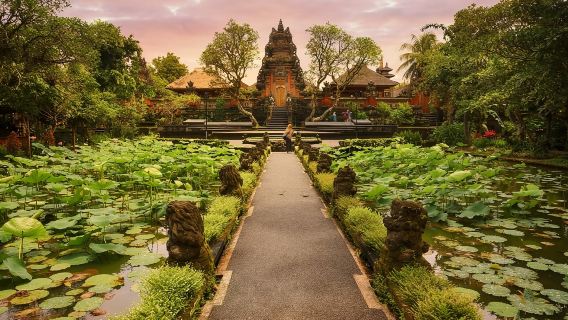 Ubud: cascadas, templo del agua y terrazas de arroz en grupo privado