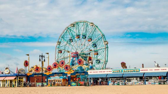 perjalanan satu hari ke New York, Brooklyn, Bronx, Harlem, dan Coney Island