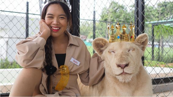 ไทย [ภูเก็ต] มาเล่นกับสิงโตที่สวนสิงโต! ให้อาหาร! ถ่ายรูป! สัมผัสใกล้ชิดแบบไม่มีระยะห่าง!