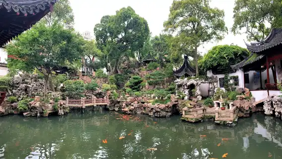 Shanghai Yu Garden 1-day tour [VIP service/special invited influencers/private group with 2-hour buided commentary]