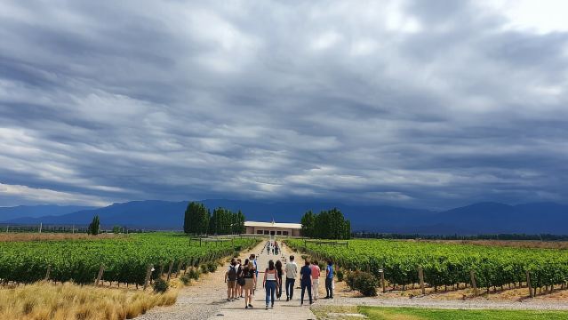 Top-Bewertet: Weingut-Tour mit Mittagessen in Mendoza
