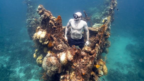 Coron Island Island Hopping Tour B in the Philippines | Barracuda Lake + Smith Beach + Lunch + Transfer