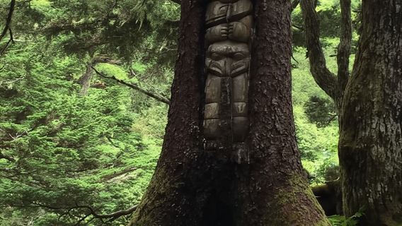 Juneau: Alaska Native Tour with Tram Ride and Meal