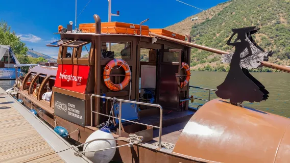 Porto: Douro-Tal-Geschichte & Weintour mit Kreuzfahrt und Mittagessen